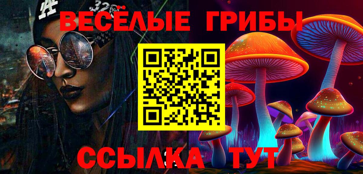 Корсаков  Псилоцибиновые грибы мицелий  Вход с VPN 