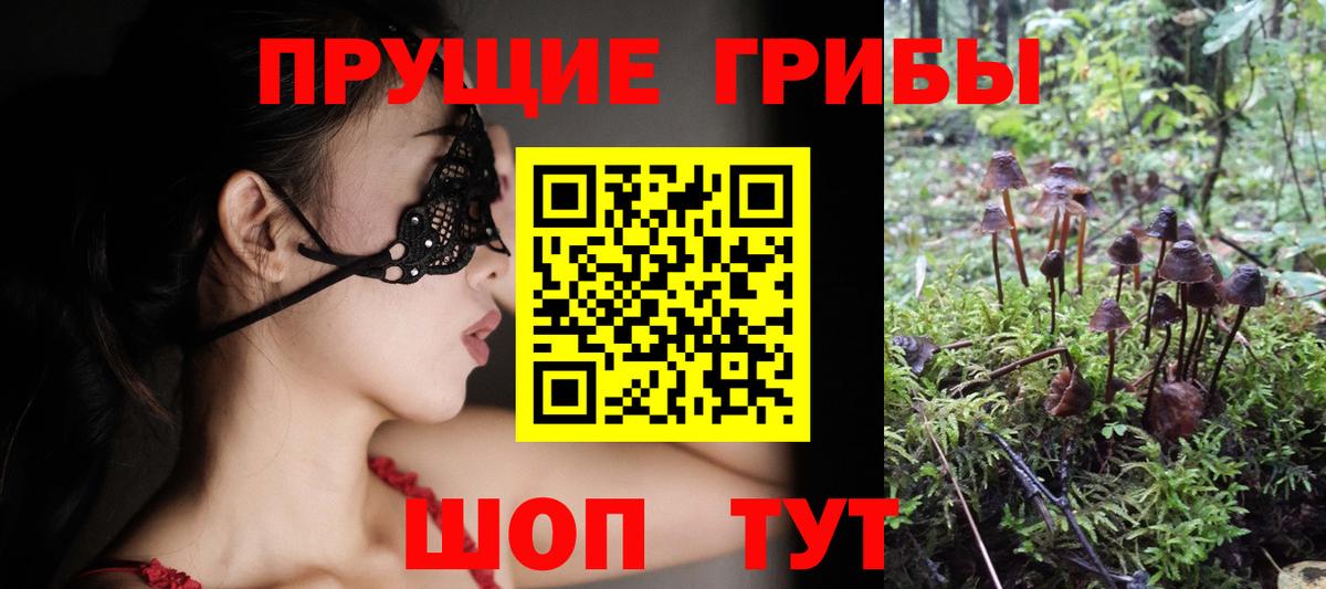 Галлюциногенные грибы Psilocybine cubensis Корсаков